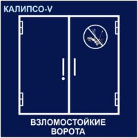 https://mtm-pro.ru/wp-content/uploads/2024/01/Vorota-Kalipso-v-200x200.jpg